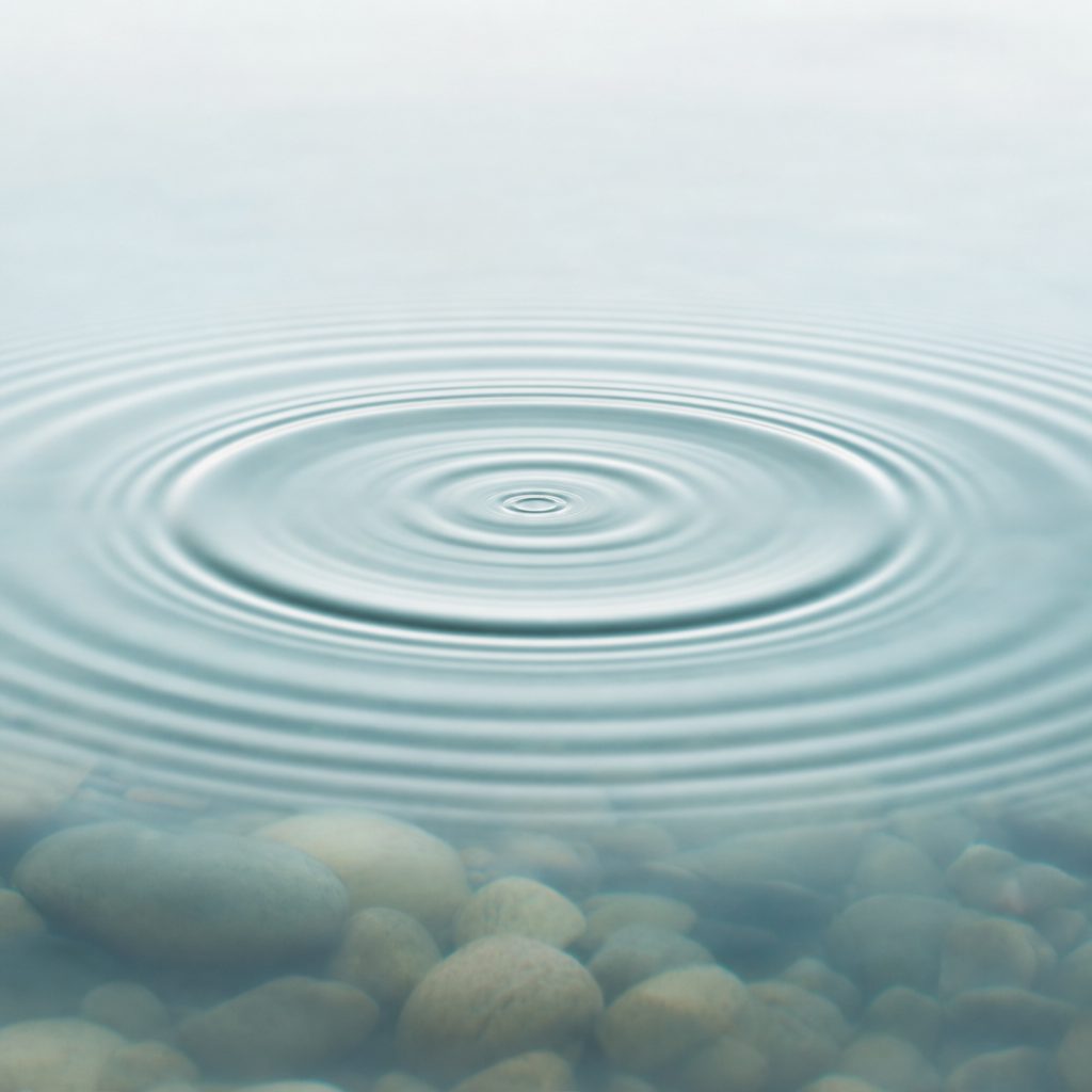 Macro photograph of concentric ripples in still water